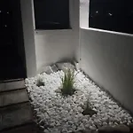 White Pampas Tiny *