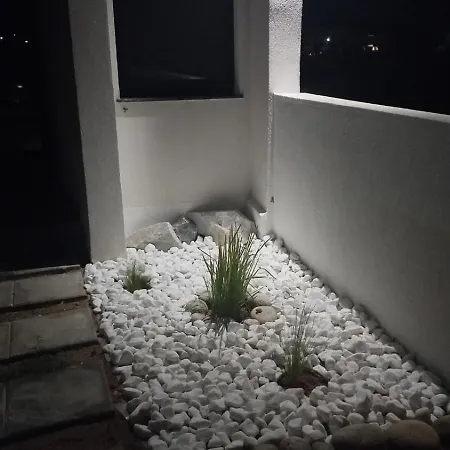 White Pampas Tiny *