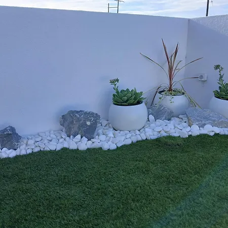 Landsted White Pampas Tiny *
